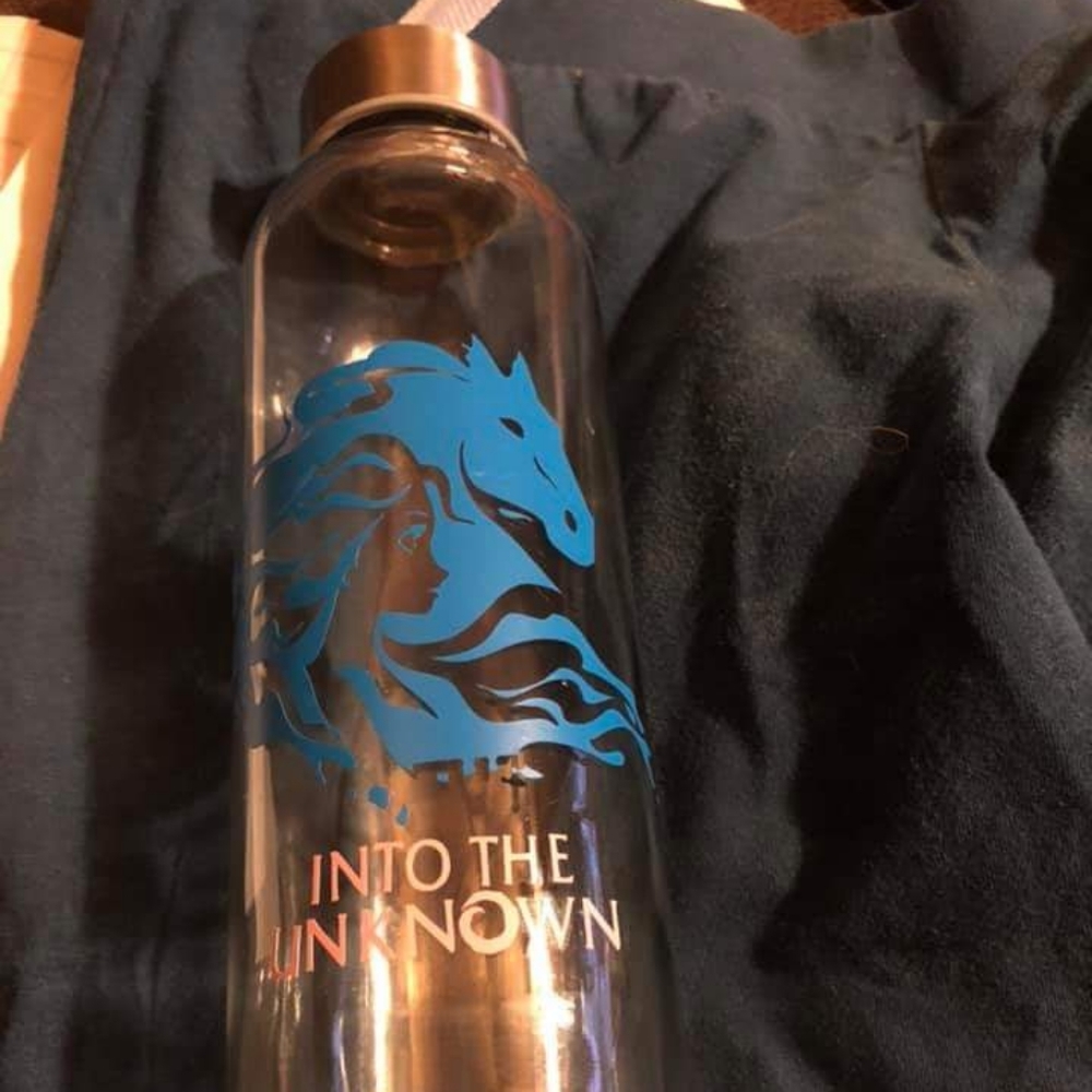 Frozen 2  inspired water bottle